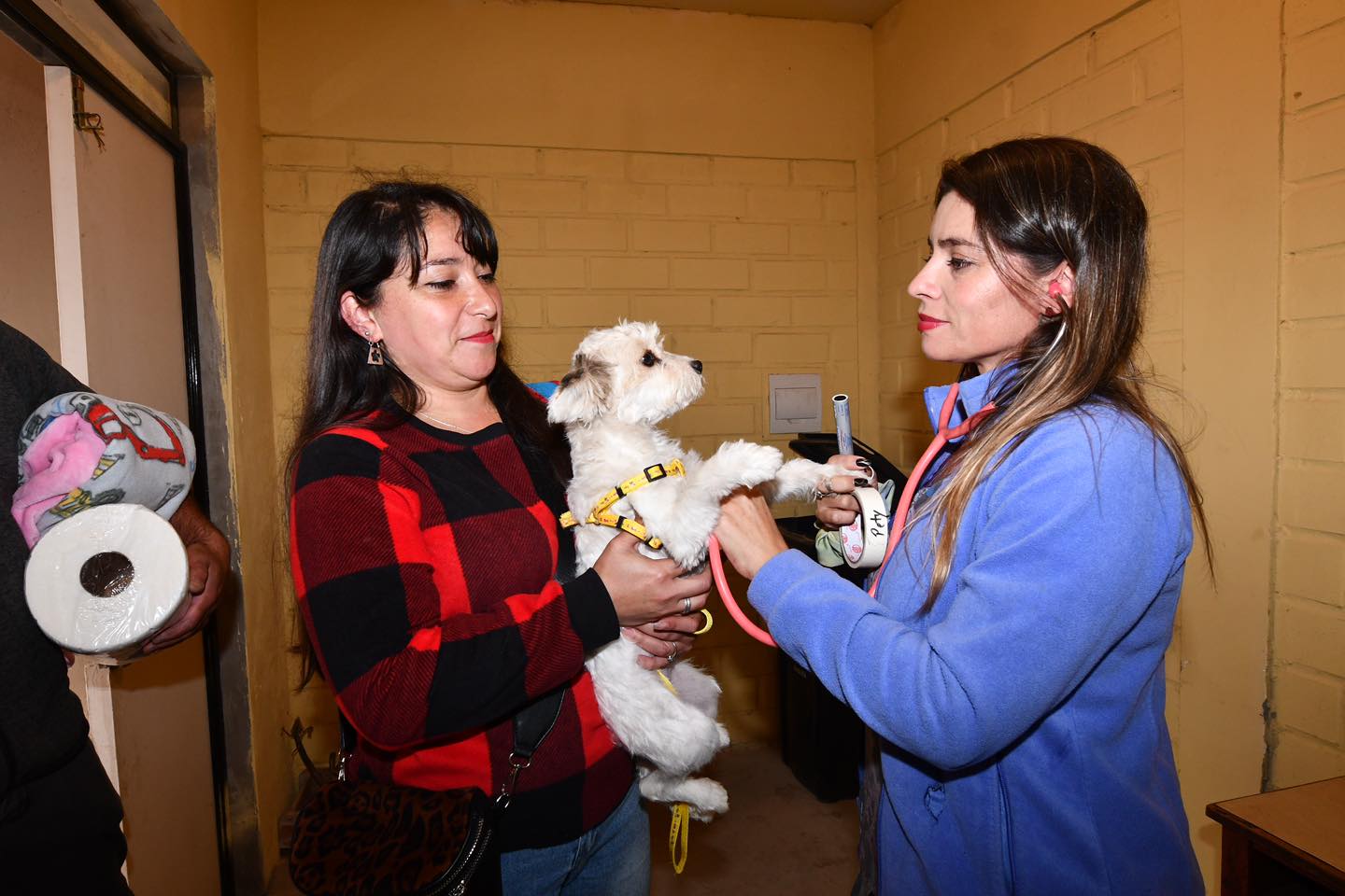 Finaliza con éxito proyecto de 2 mil esterilizaciones de mascotas en La Serena